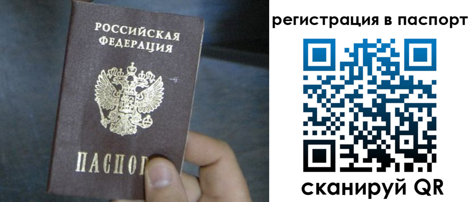 прописка 2025 в Смоленске